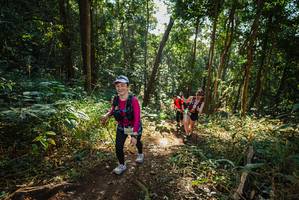 BIB: 2041
                            <button type="button" onclick="openModal(22551114)" class="btn btn-primary btn-sm float-right btn-popup" data-toggle="modal" data-target=".modal-high-quality">
                        <i class="fas fa-shopping-cart"></i> Add to Cart
                    </button>
                                            <button type="button" onclick="isThisMe(22551114, true)" class="btn btn-success btn-sm float-right btn-popup btn-isme hidden" data-toggle="tooltip" data-placement="bottom" title="นี่คือรูปของคุณใช่ไหม คลิกที่นี่เพื่อเอาเข้าอัลบั้ม">
                        <i class="fas fa-plus"></i> Add to album
                    </button>
                    <button type="button" onclick="isThisMe(22551114, false)" class="btn btn-warning btn-sm float-right btn-popup btn-isnotme hidden">
                        <i class="fas fa-ban"></i> Remove from album
                    </button>